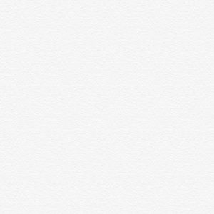 Meet your Posher, Rosita